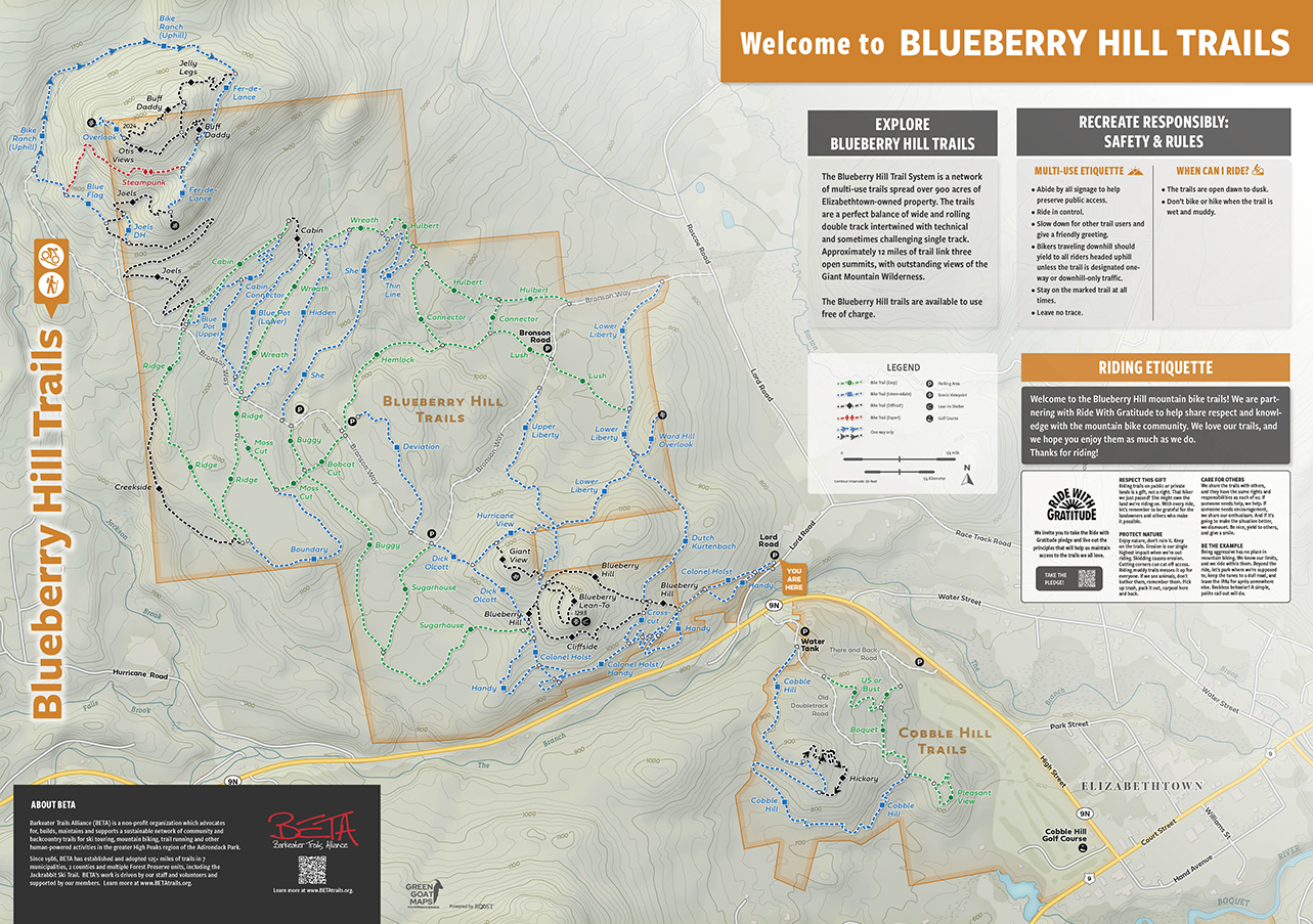 Blueberry Hill